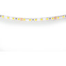 Лента LIGHTSTAR 420514 LED 24V 12W 120leds/M 26-28 lm green IP20 5м
