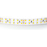 Лента LIGHTSTAR 421504 LED 24V 24W 240leds/M 26-28 lm 4000K IP20 5м